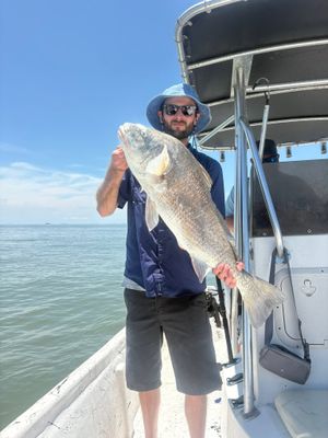 Angler holds a large black drum fish on a center console boat under clear blue skies.