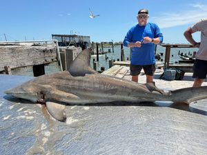 Angler stands proudly beside a large bull shark laid out on a weathered wooden fishing pier.