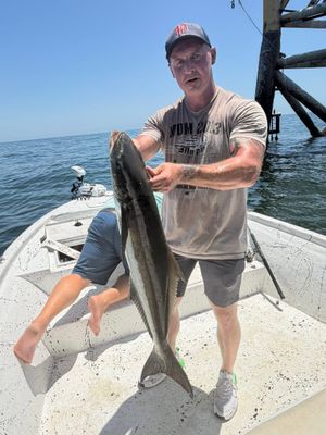 Fisherman displays a long cobia catch while standing on a white boat near an offshore pier.