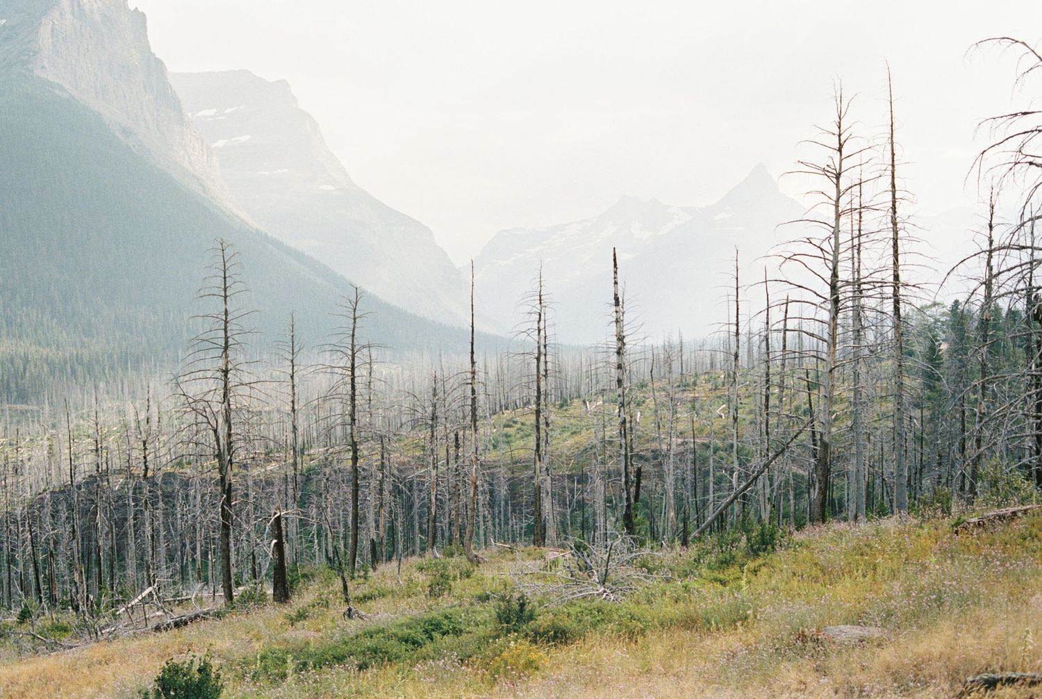 Glacier National Park