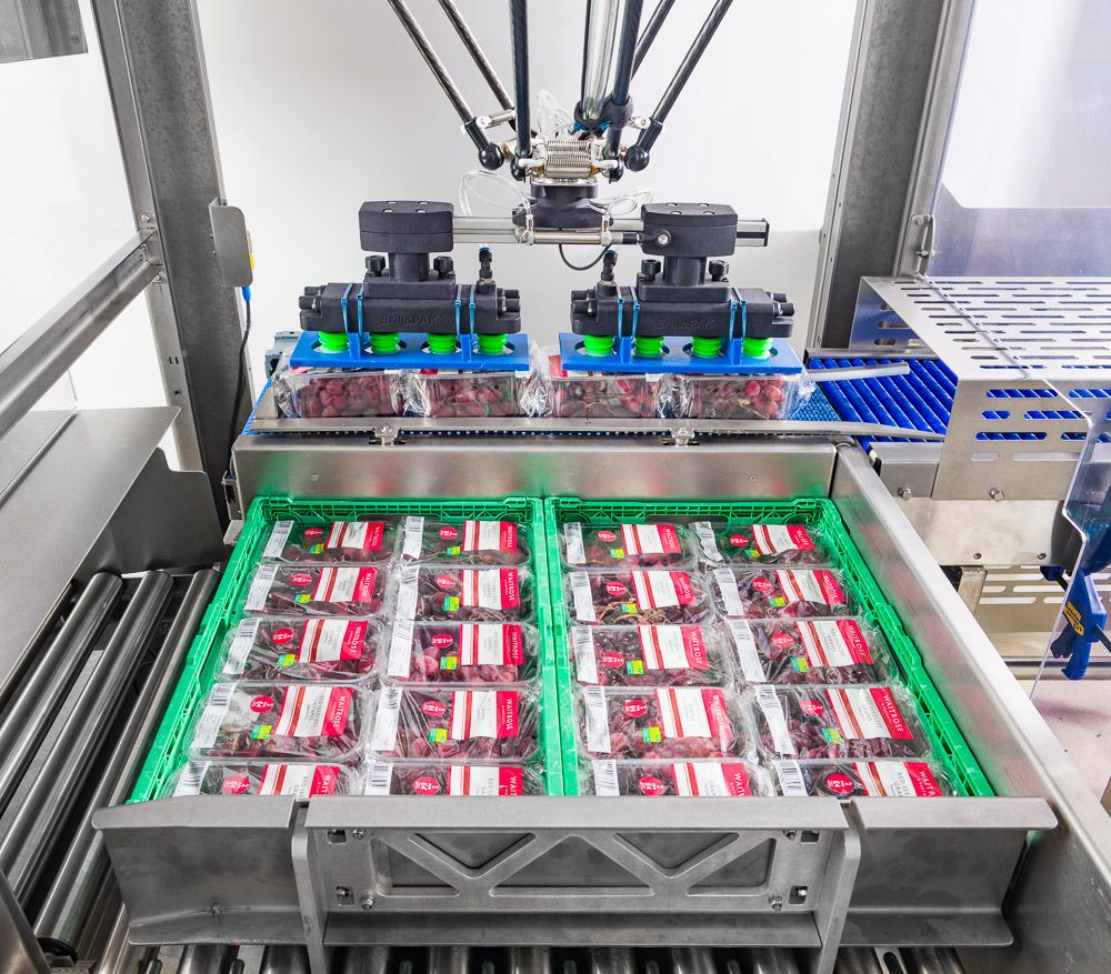Photography of machines for manufacturing, process and automated packing