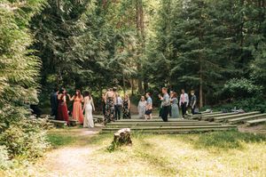 Wedding party walking through a lush forest clearing with tall evergreen trees during an outdoor ceremony.