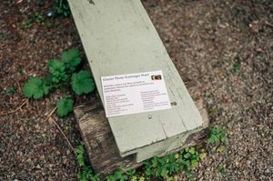 A garden scavenger hunt card placed on a weathered wooden beam surrounded by soil and green plants.