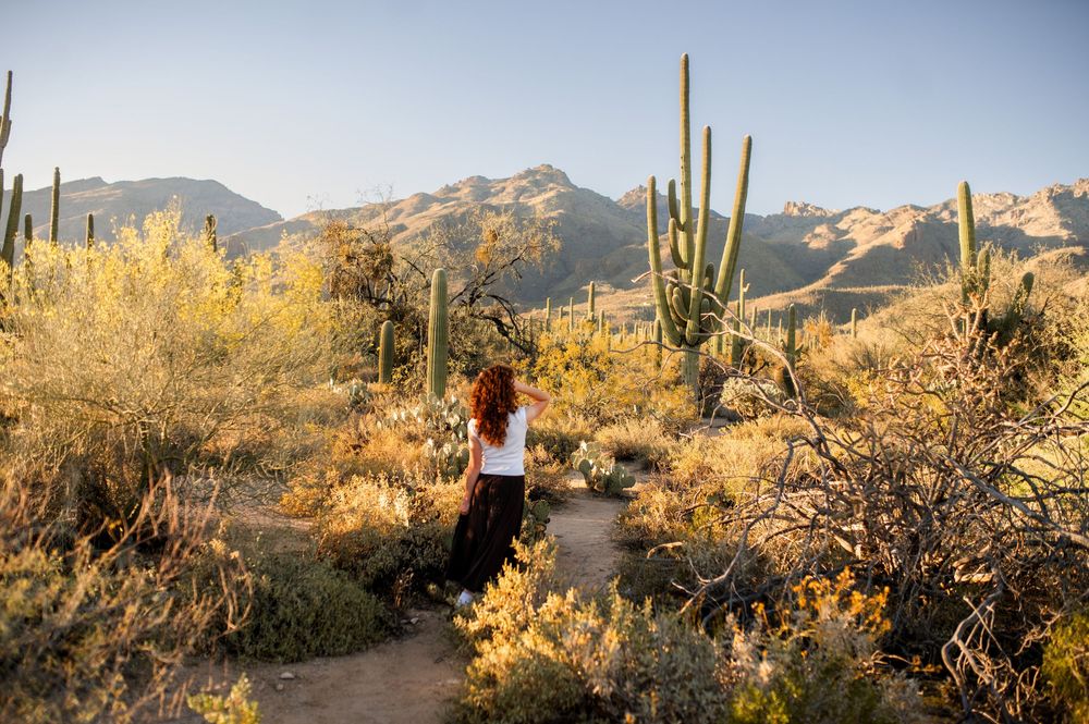 Woman with red hair walks a desert trail surrounded by saguaro cacti and golden shrubs with mountains in the background.