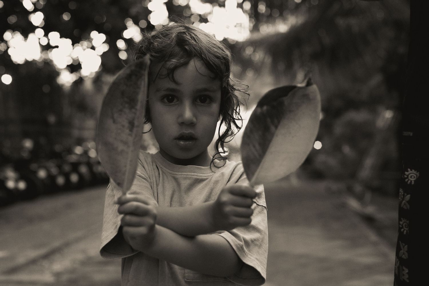 Black and white photo of a young child holding large leaves outdoors with bokeh lights in background.