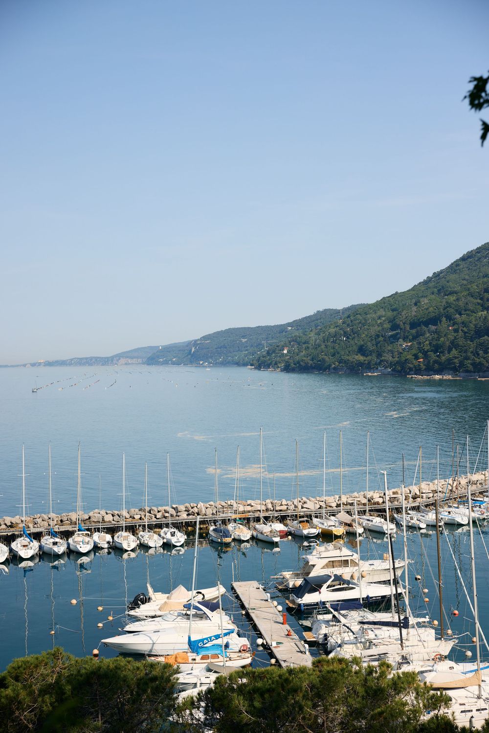 Scenic marina with sailboats and yachts docked along pier with green hillside and blue sea.