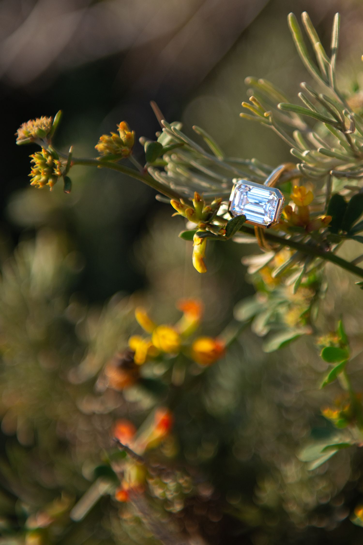 Elegant emerald-cut blue gemstone ring balanced on flowering shrub branches with bokeh green foliage background.