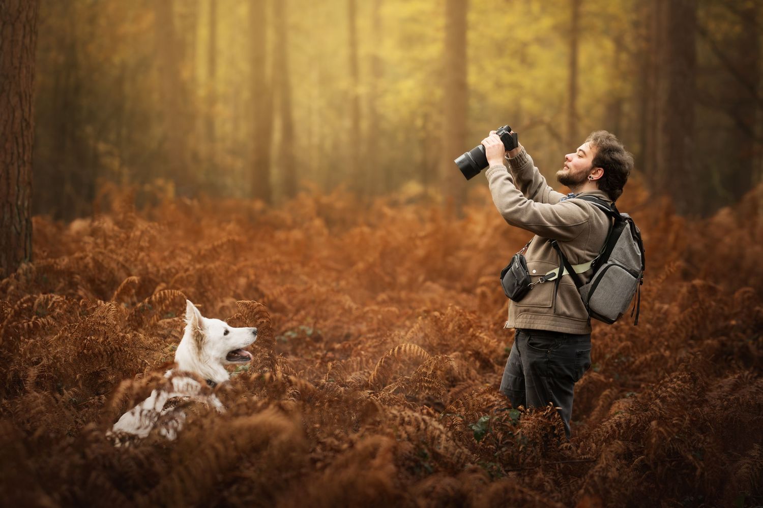 Man with binoculars and white dog exploring an autumn forest filled with brown ferns in golden light.