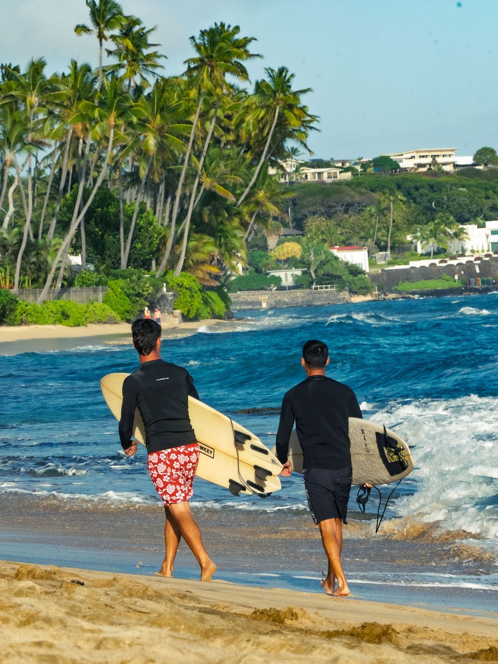 Two surfers in rash guards walk along the shoreline at Waikiki carrying pale surfboards, palm trees and hillside homes rising behind.