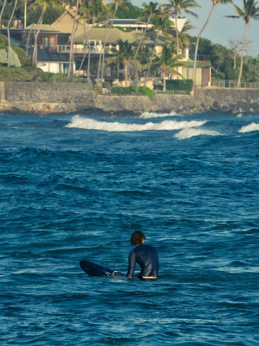 A surfer in a dark wetsuit sits on his board waiting for waves off Waikiki, palm-lined homes and a rocky seawall along the shore behind.