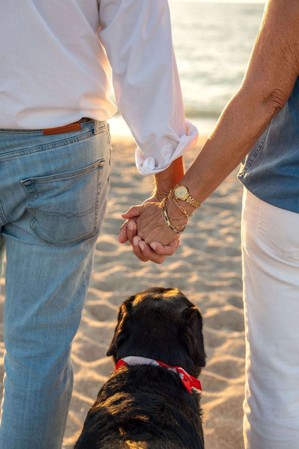 Couple holding hands on sandy beach with black Labrador wearing red bandana at golden hour.
