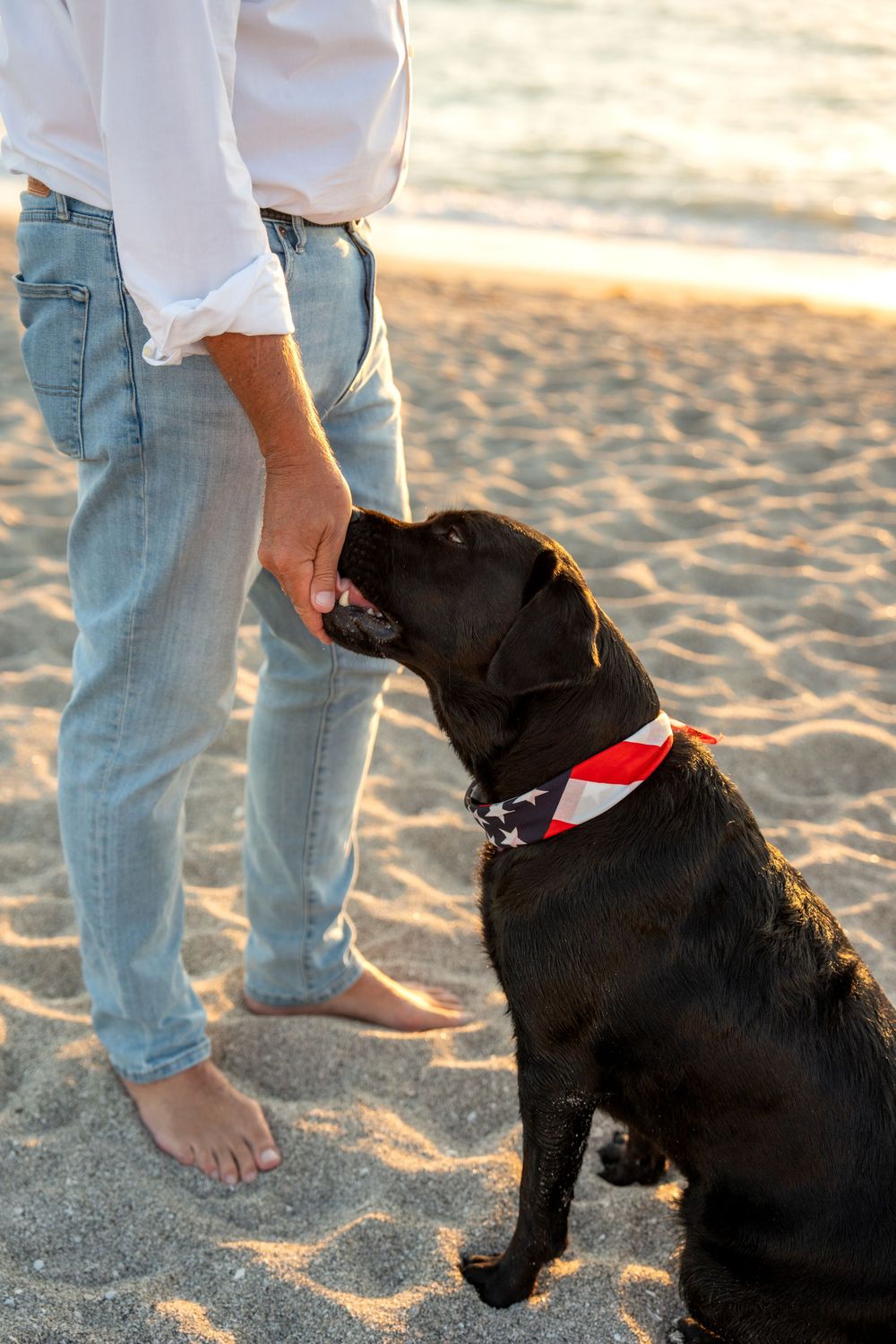 Black Labrador with American flag bandana sits on sandy beach beside barefoot owner in jeans.