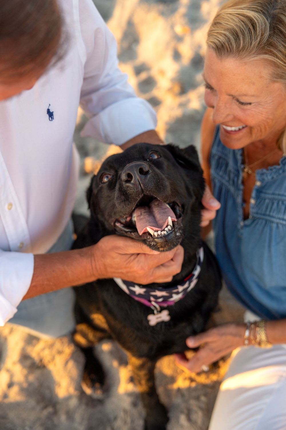Couple lovingly pets happy black Labrador Retriever with tongue out on sandy beach at sunset.