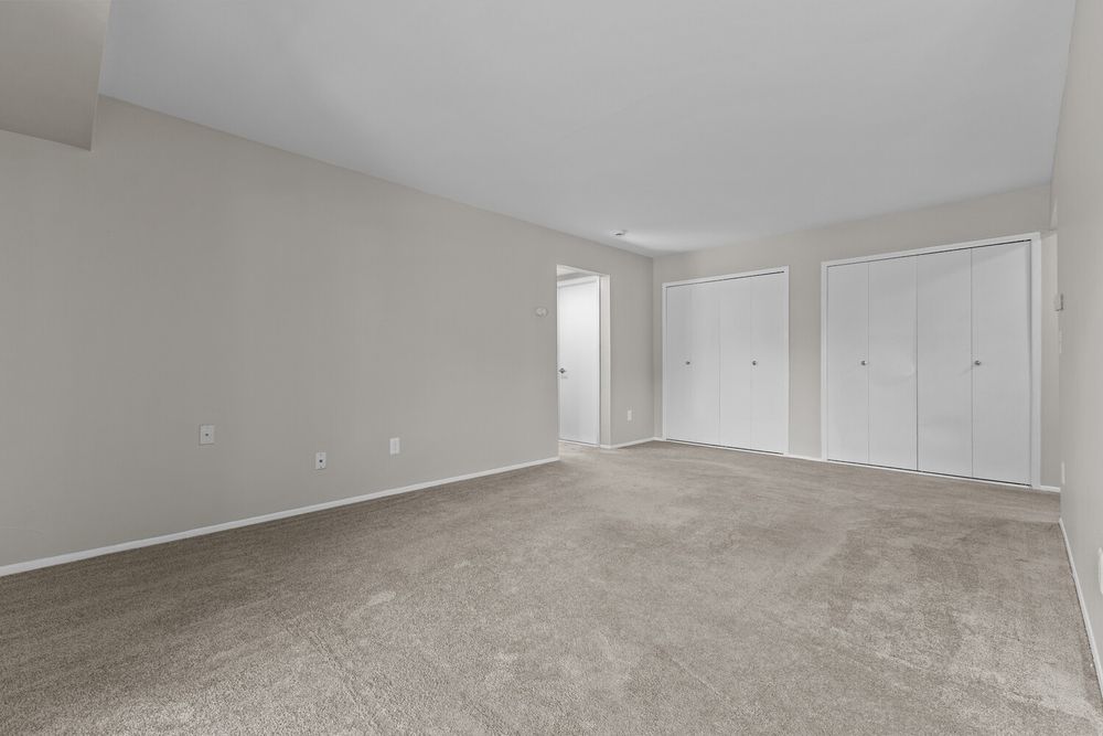 Large empty bedroom featuring neutral carpet, gray walls, and a double closet with white bifold doors.