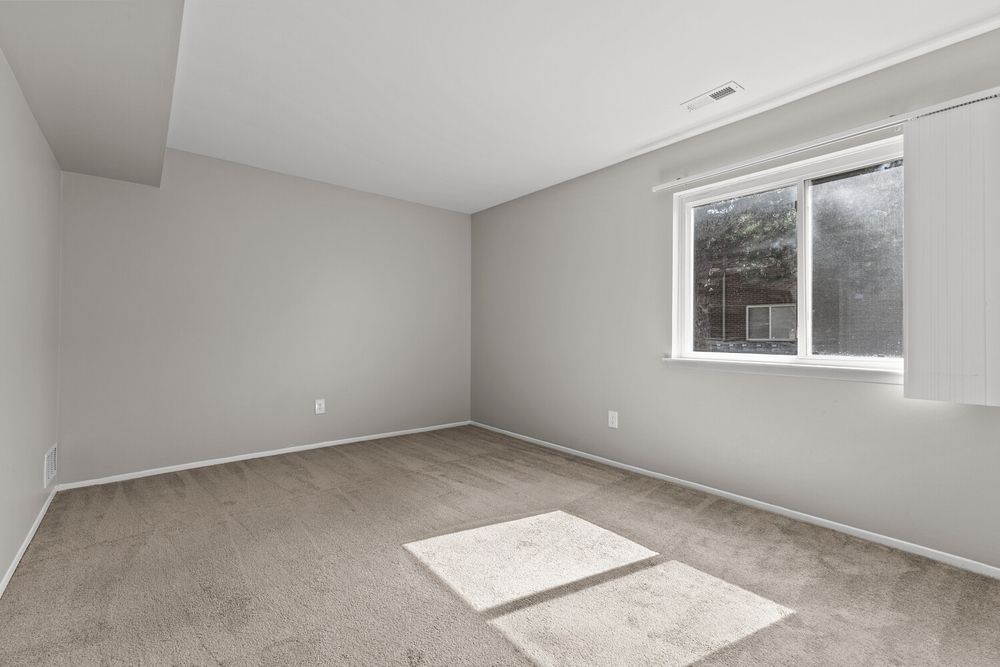 Empty bedroom with neutral carpet, gray walls, and a window allowing natural light to brighten the space.