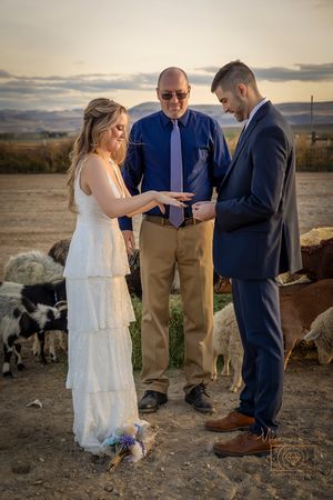 Farmhouse elopement Marsing Idaho Milestones Studios LLC, Lucky Four Farm ceremony