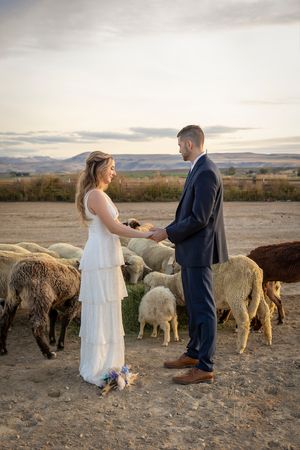 Farmhouse elopement Marsing Idaho Milestones Studios LLC, Lucky Four Farm