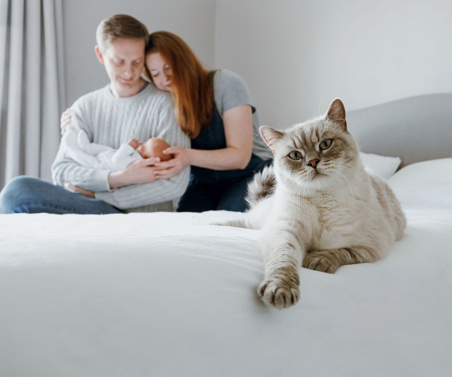 Family cuddling their newborn baby on a bed while the family cat relaxes in the foreground during an in-home newborn photography session