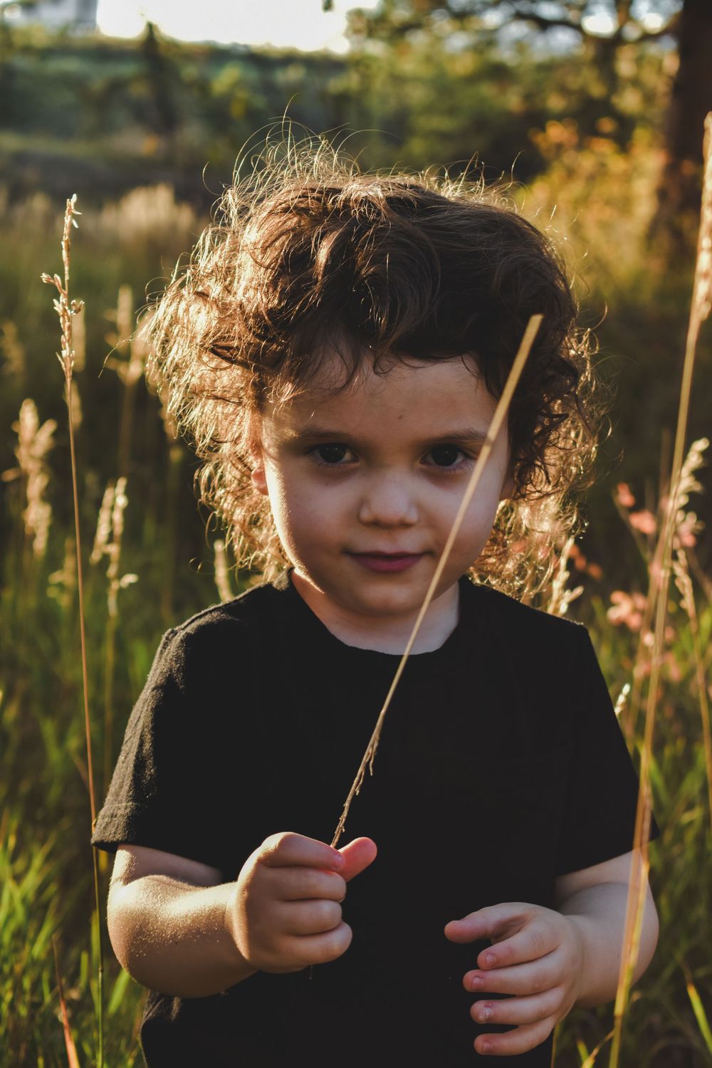 Young curly-haired child in black shirt holding a grass stem in a sunlit meadow.