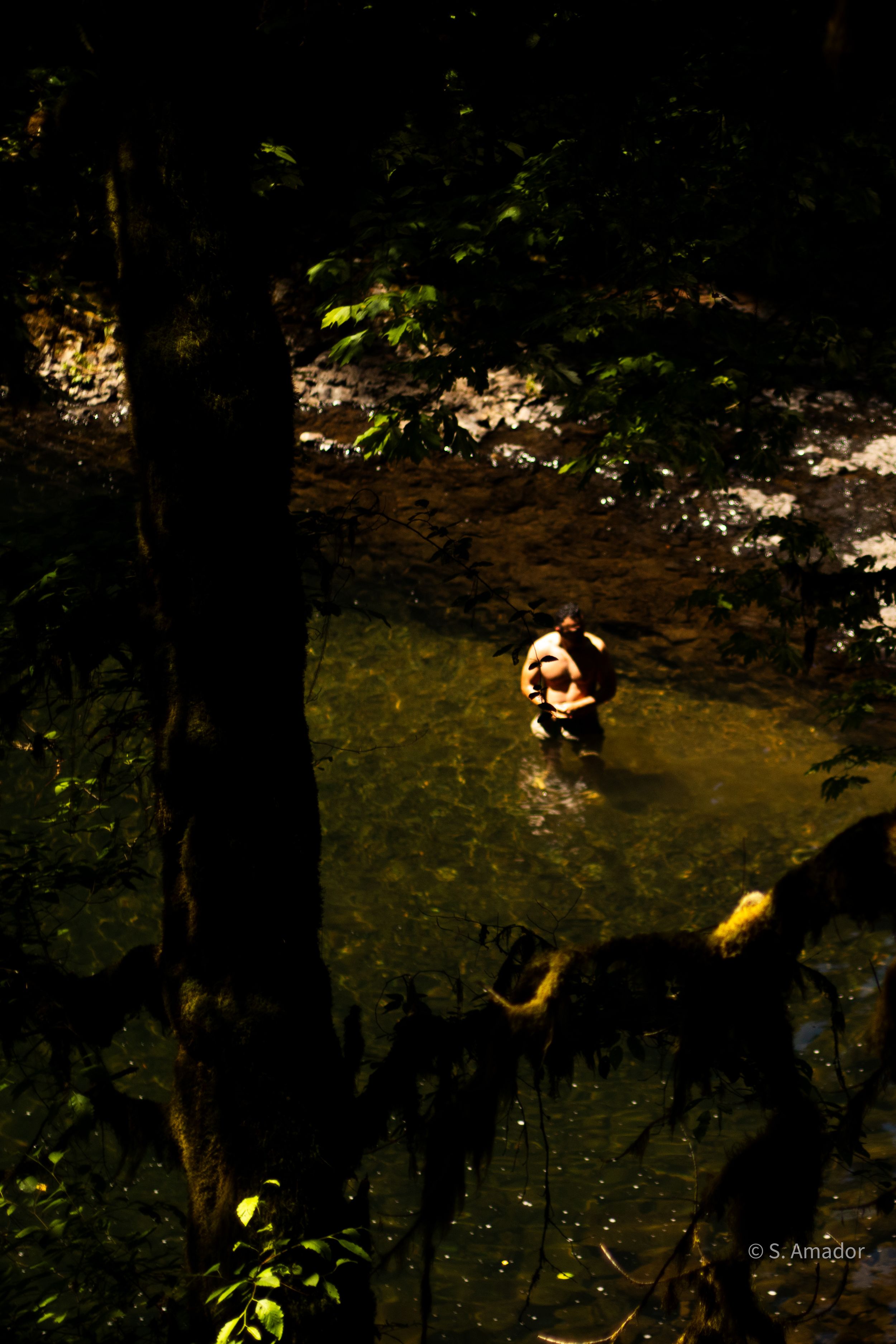 Person wading in a sunlit forest pool surrounded by lush green trees and dappled light in a tropical jungle setting.