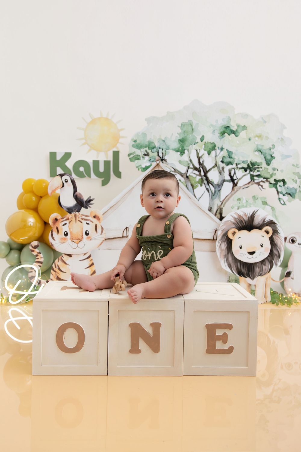 One year old boy safari themed first birthday session Nashville