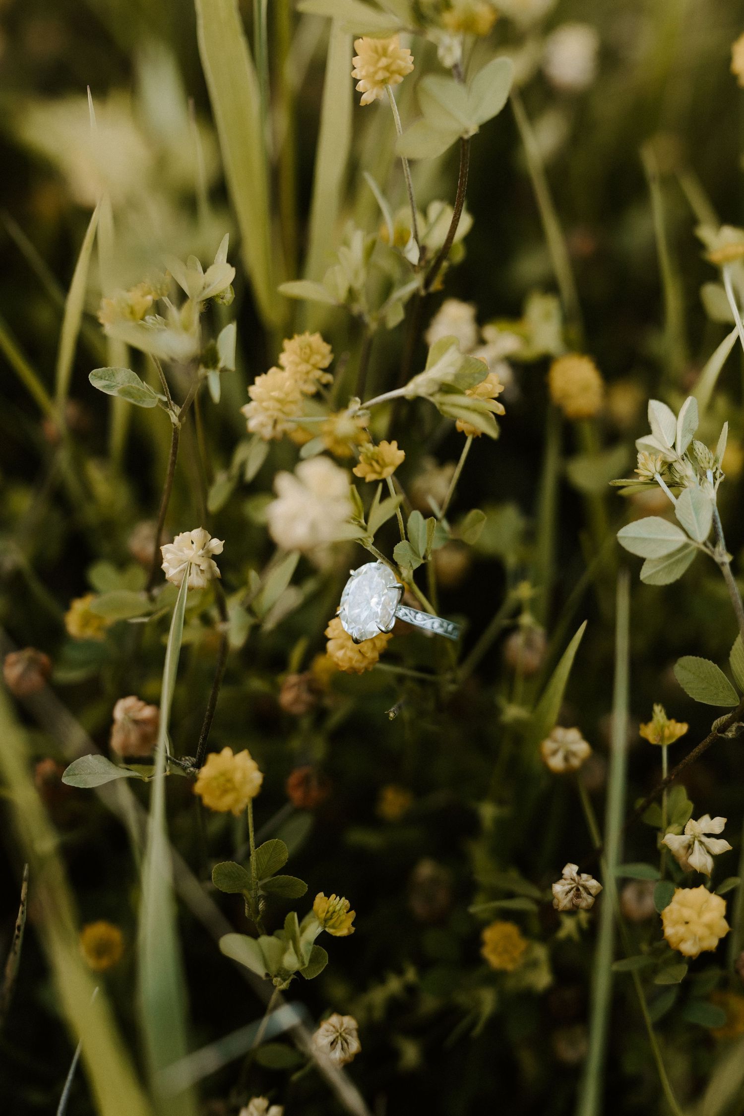 A delicate diamond engagement ring nestled among yellow and white wildflowers in a lush green meadow.