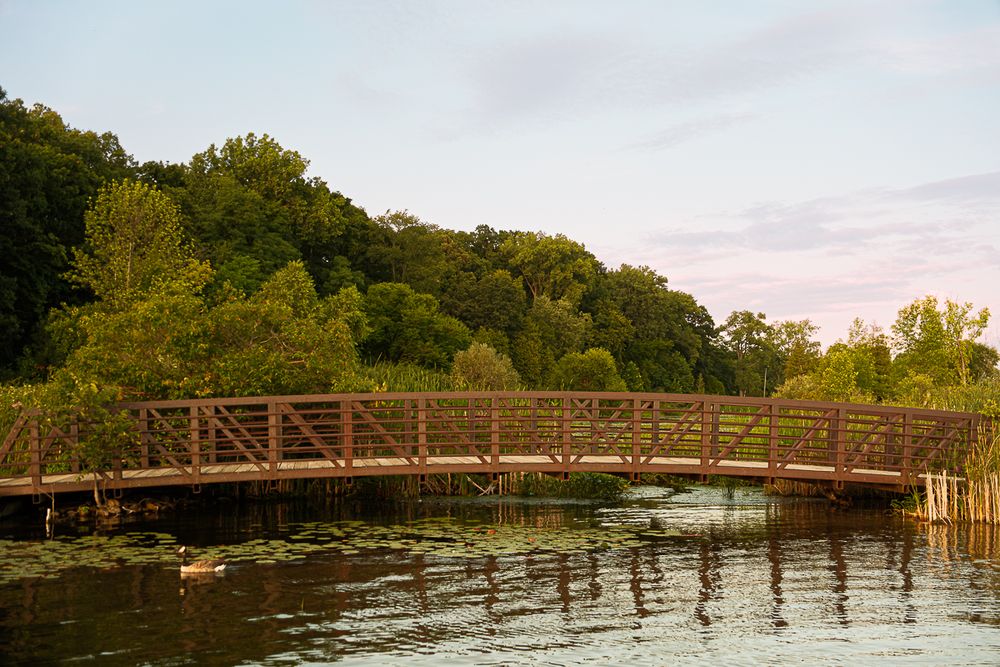 dodge-state-park-waterford-michigan-photography-photographer-nature-outdoor-1008