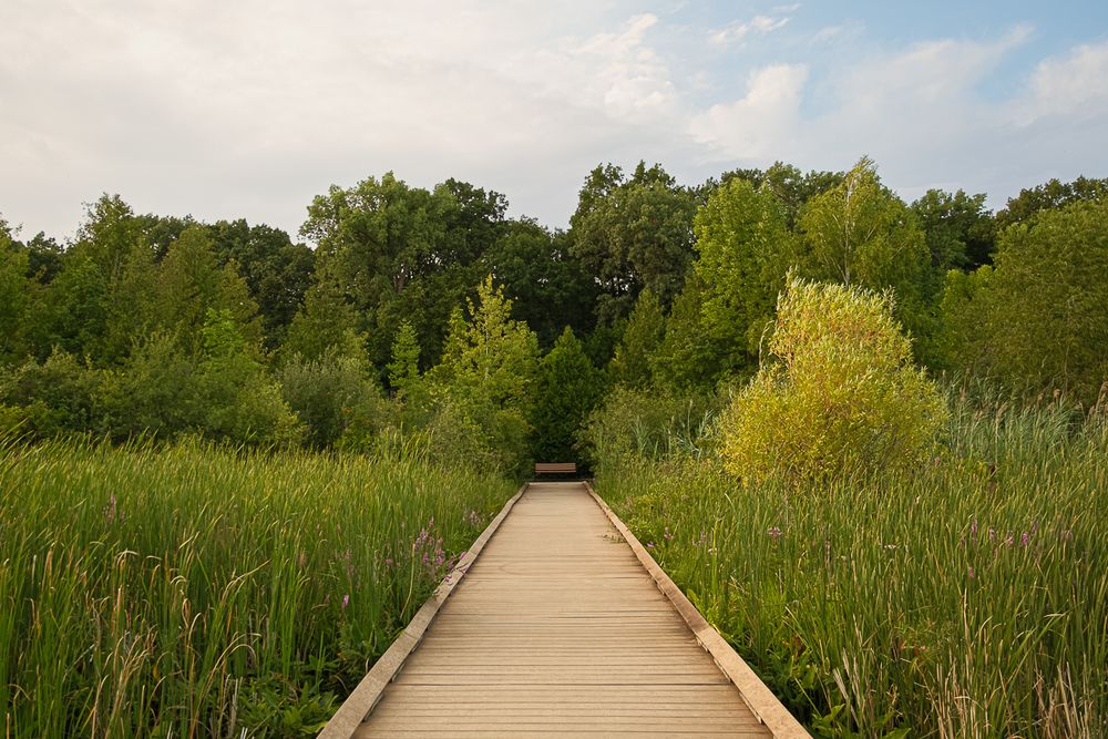 dodge-state-park-waterford-michigan-photography-photographer-nature-outdoor-1010