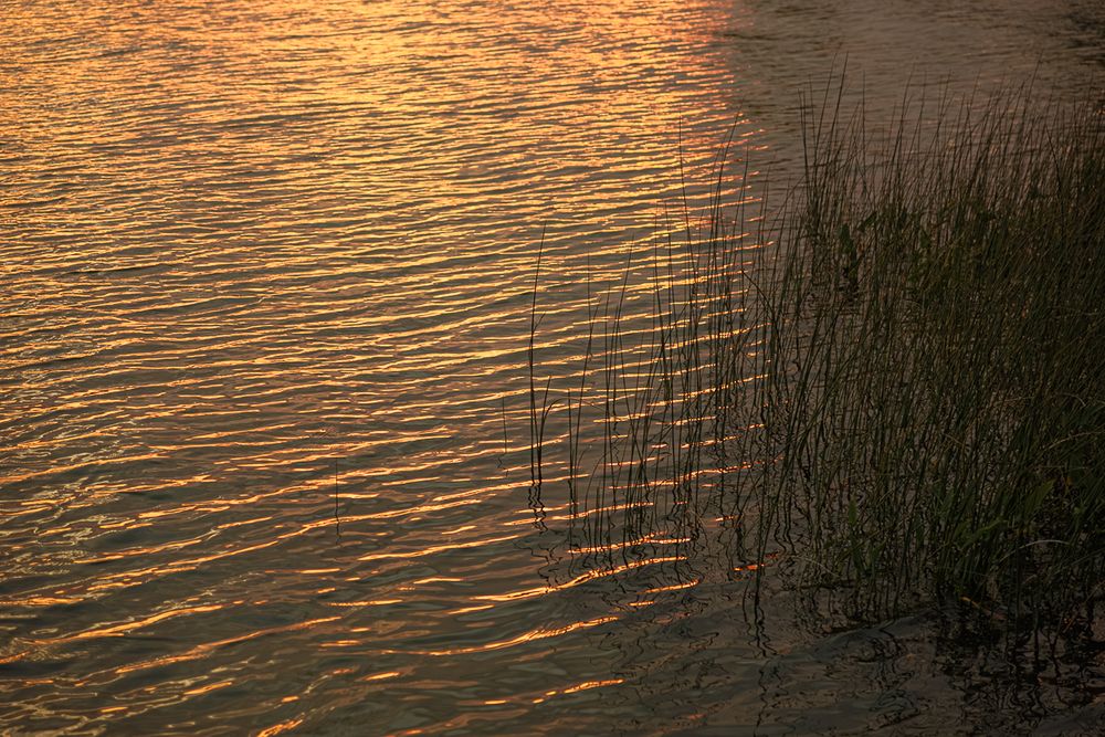 dodge-state-park-waterford-michigan-photography-photographer-nature-outdoor-1013