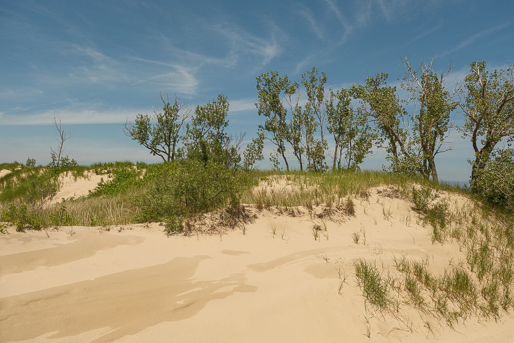 indiana-dunes-national-park-travel-photographer-photography-6759