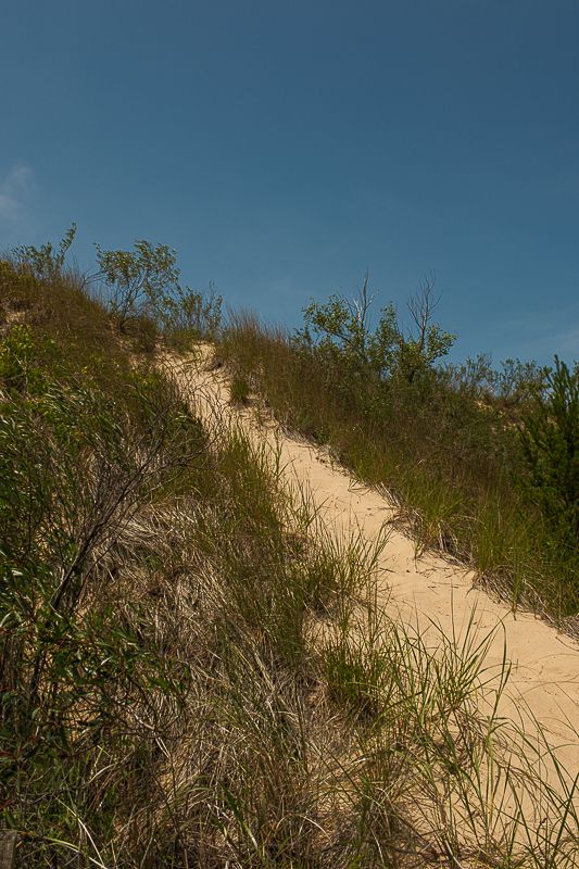 indiana-dunes-national-park-travel-photographer-photography-7512