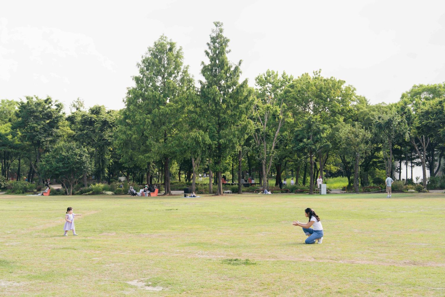 Families enjoy a sunny day at a lush green park with tall trees, children playing on open grass lawn.