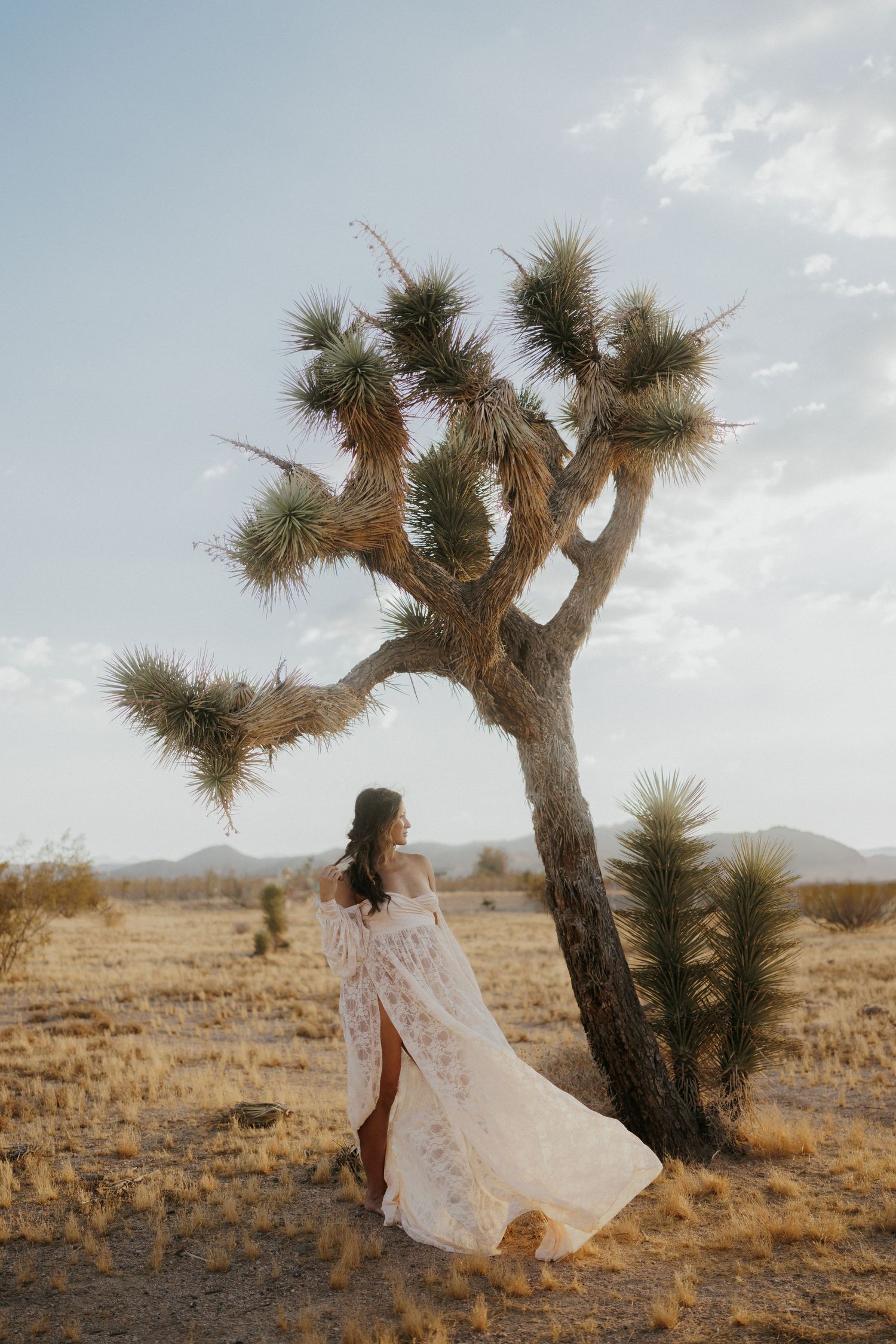 Woman in flowing lace gown standing beside a Joshua tree in golden desert landscape.