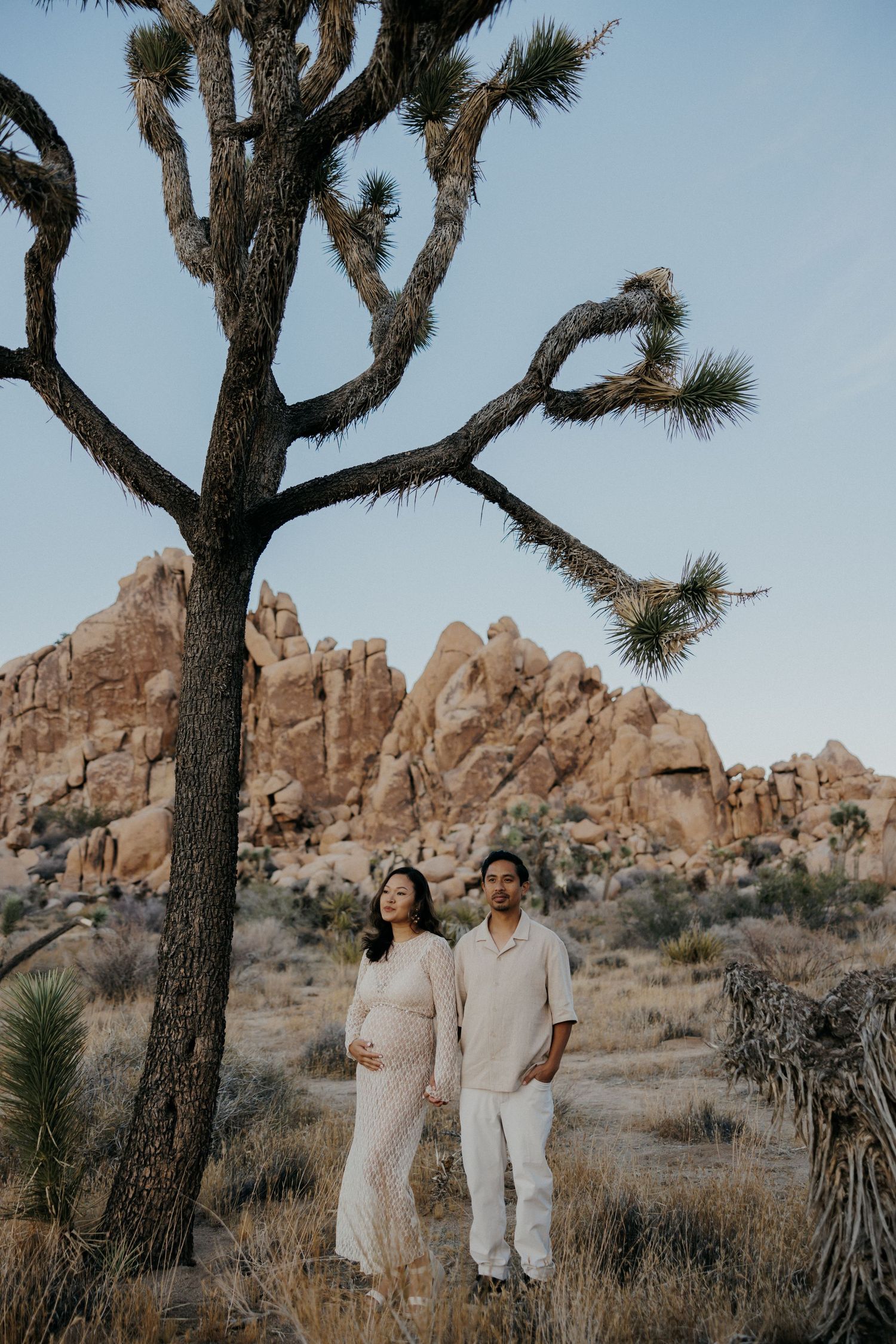 Expecting couple in white outfits poses under a Joshua tree with rocky desert landscape at Joshua Tree National Park.