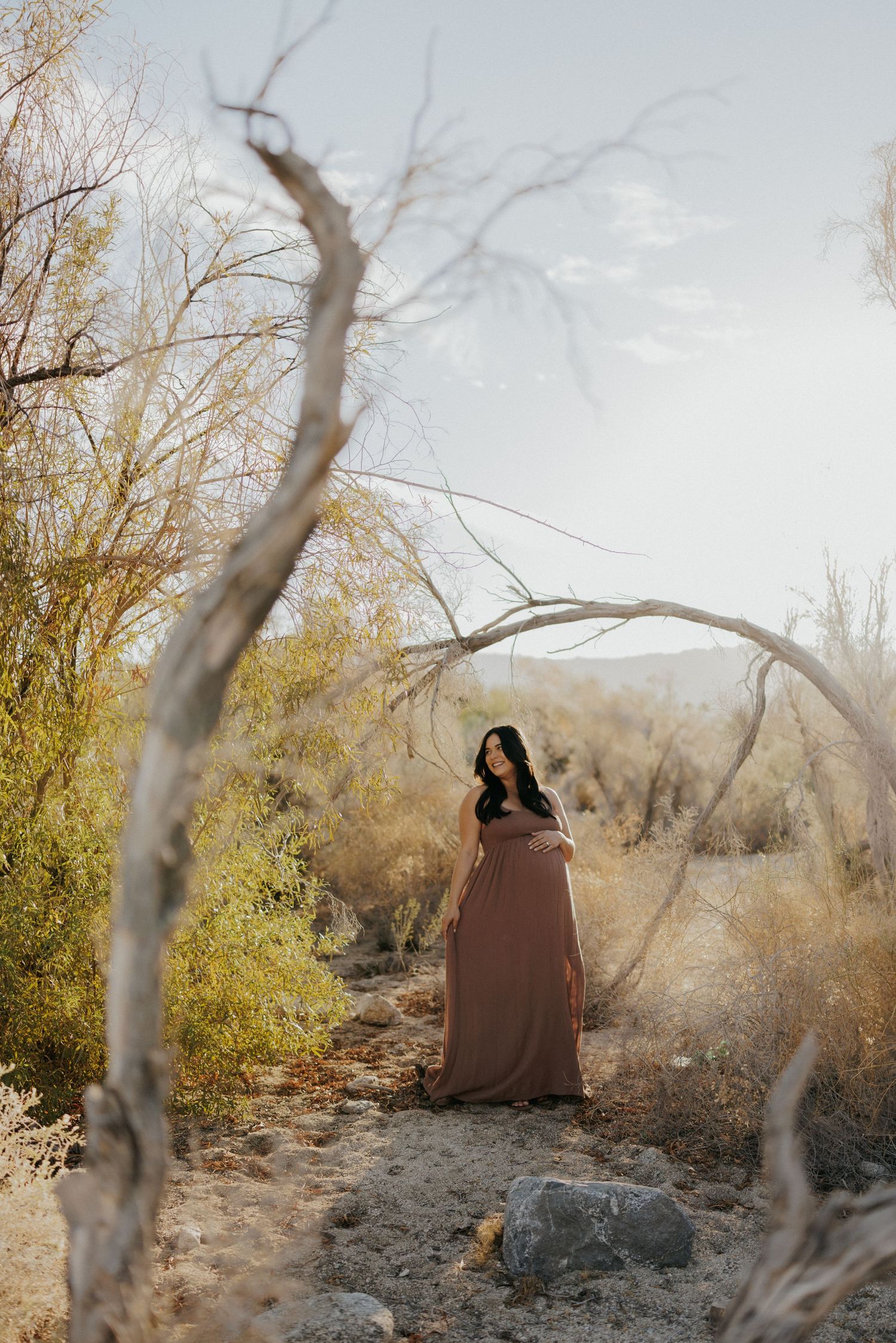 Pregnant woman in mauve gown standing in desert landscape with bare trees and shrubs under soft sky.