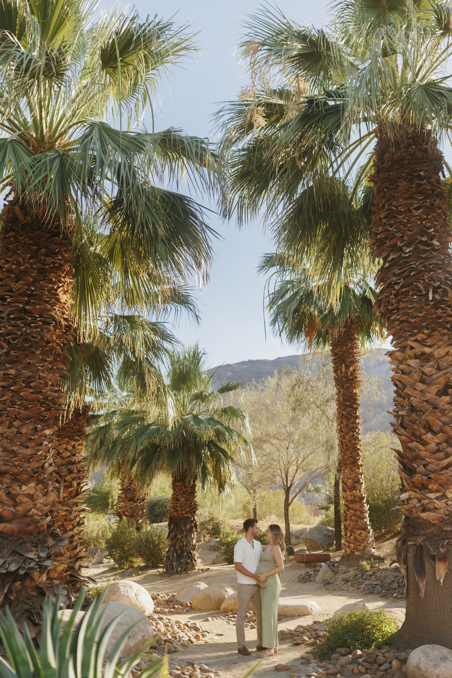 Couple embracing among tall palm trees in a desert landscape with mountains in the background.