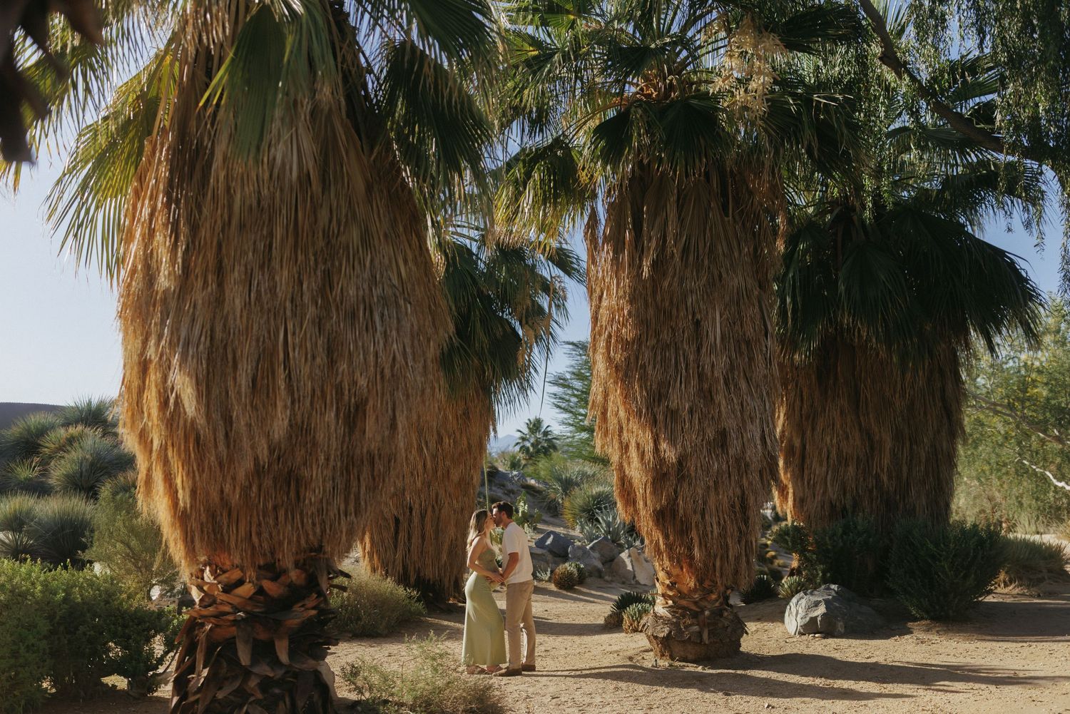 Couple embracing under tall palm trees in a desert landscape, romantic outdoor portrait photography.