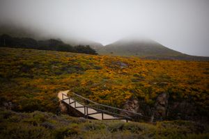 Big Sur, California travel photo shoot