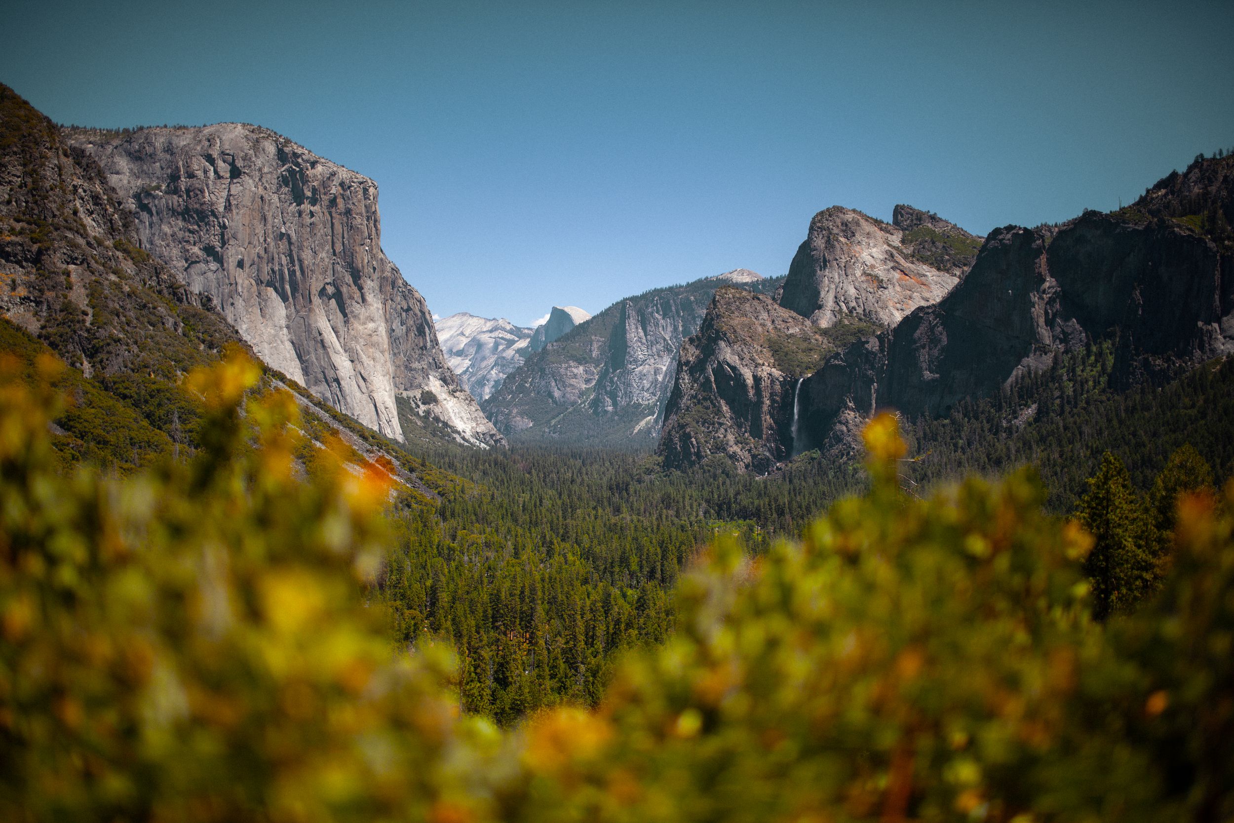 National park Yosemite