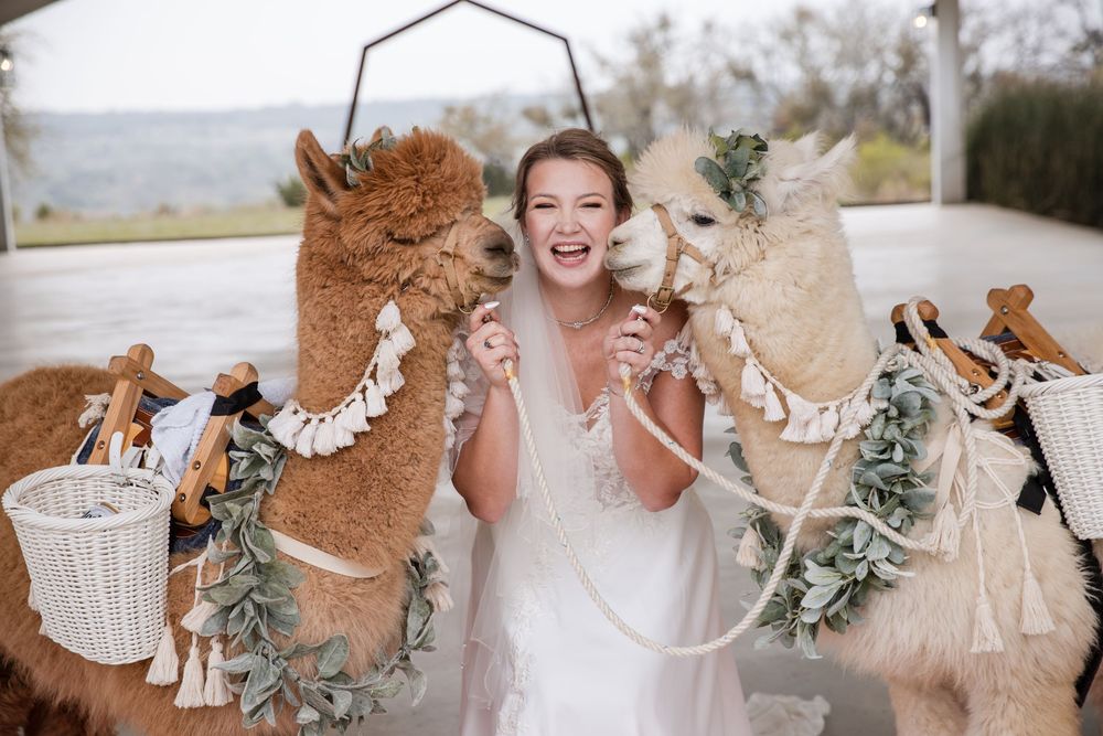 A collage of wedding moments showing outdoor celebrations with floral arrangements and rustic decor elements.
