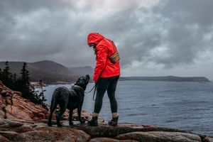 Hiker in a red rain jacket stands with a black dog on rocky coastal cliffs overlooking a moody ocean under dramatic gray storm clouds.