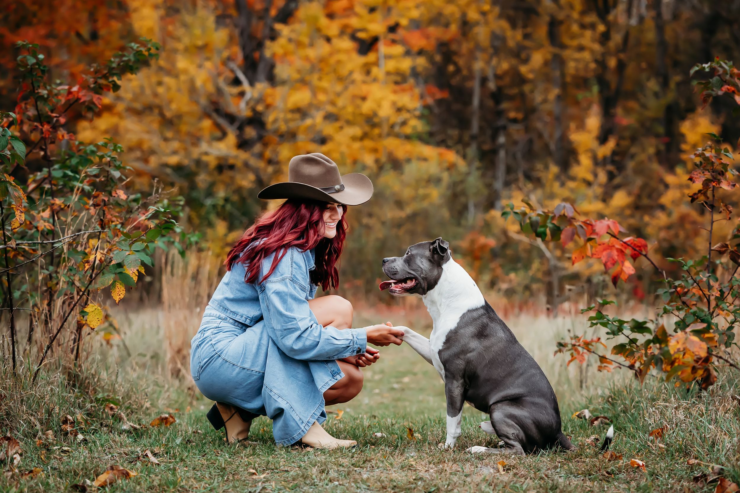 Dogs and their owners enjoy a colorful autumn day in a park setting.