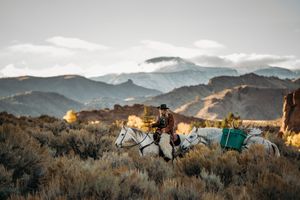 Horses resting in desert brush with majestic mountain backdrop.