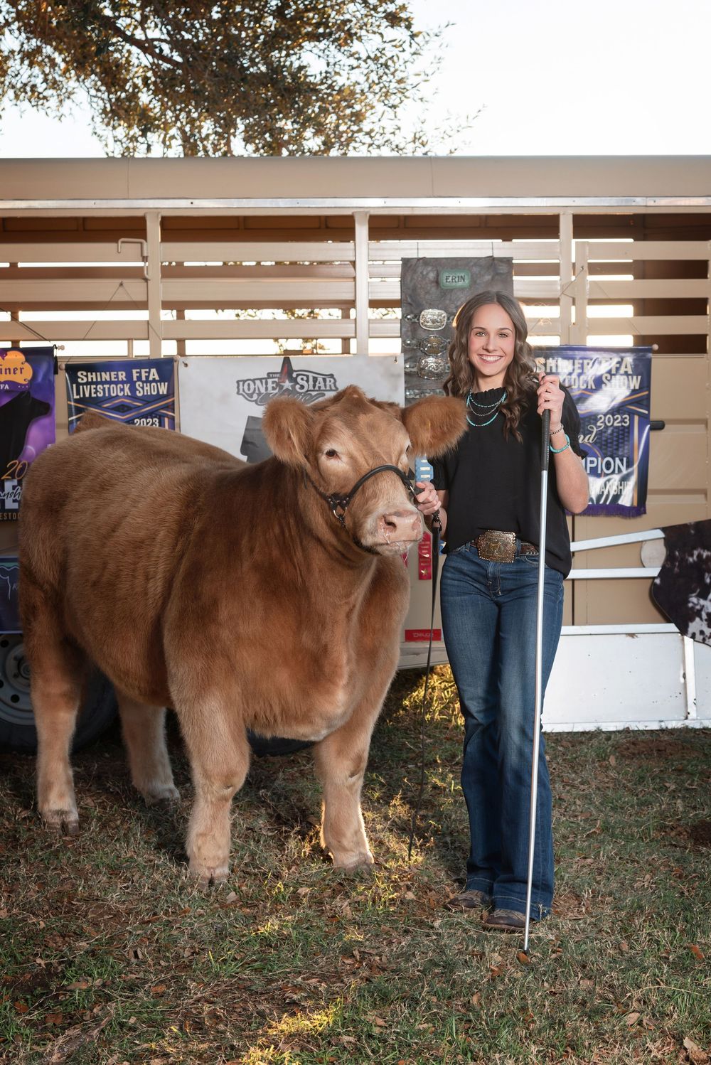 Senior girl posing with steer in front of cattle trailer displaying her award banners