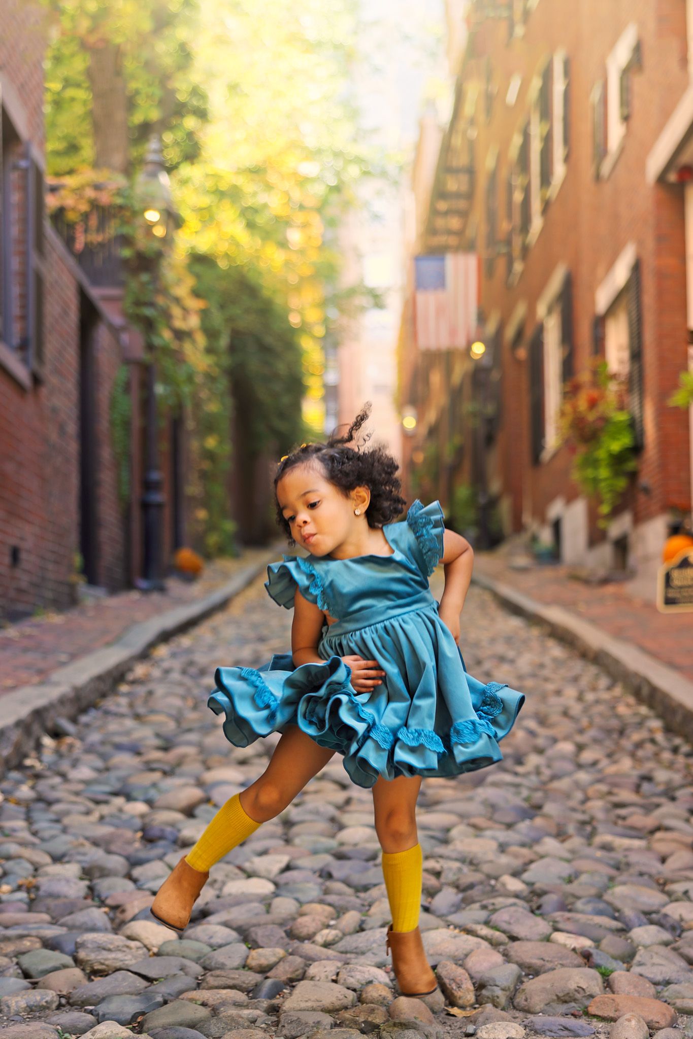 acorn street boston, boston photography