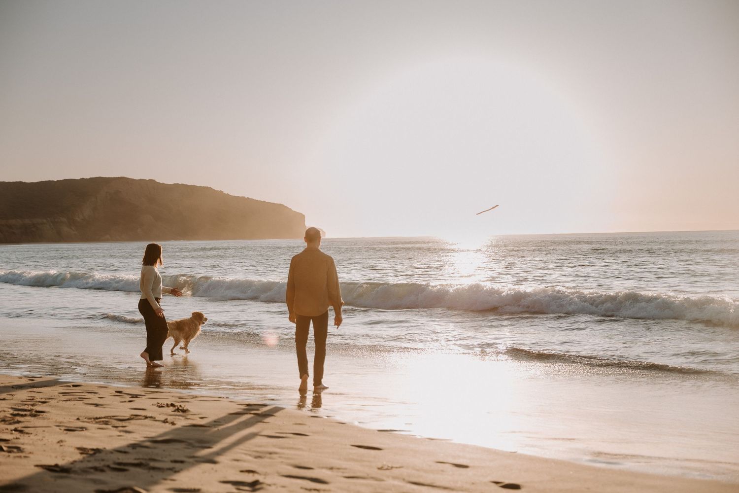 Distant figures and a dog play on a misty beach with cliffs in the background.
