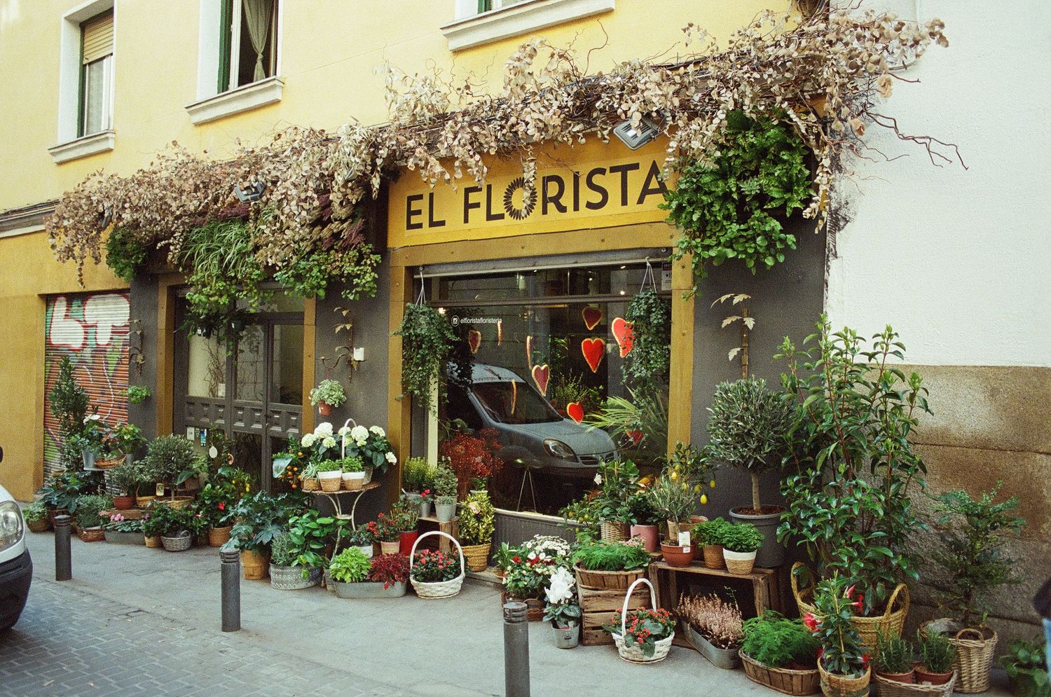 Film photography