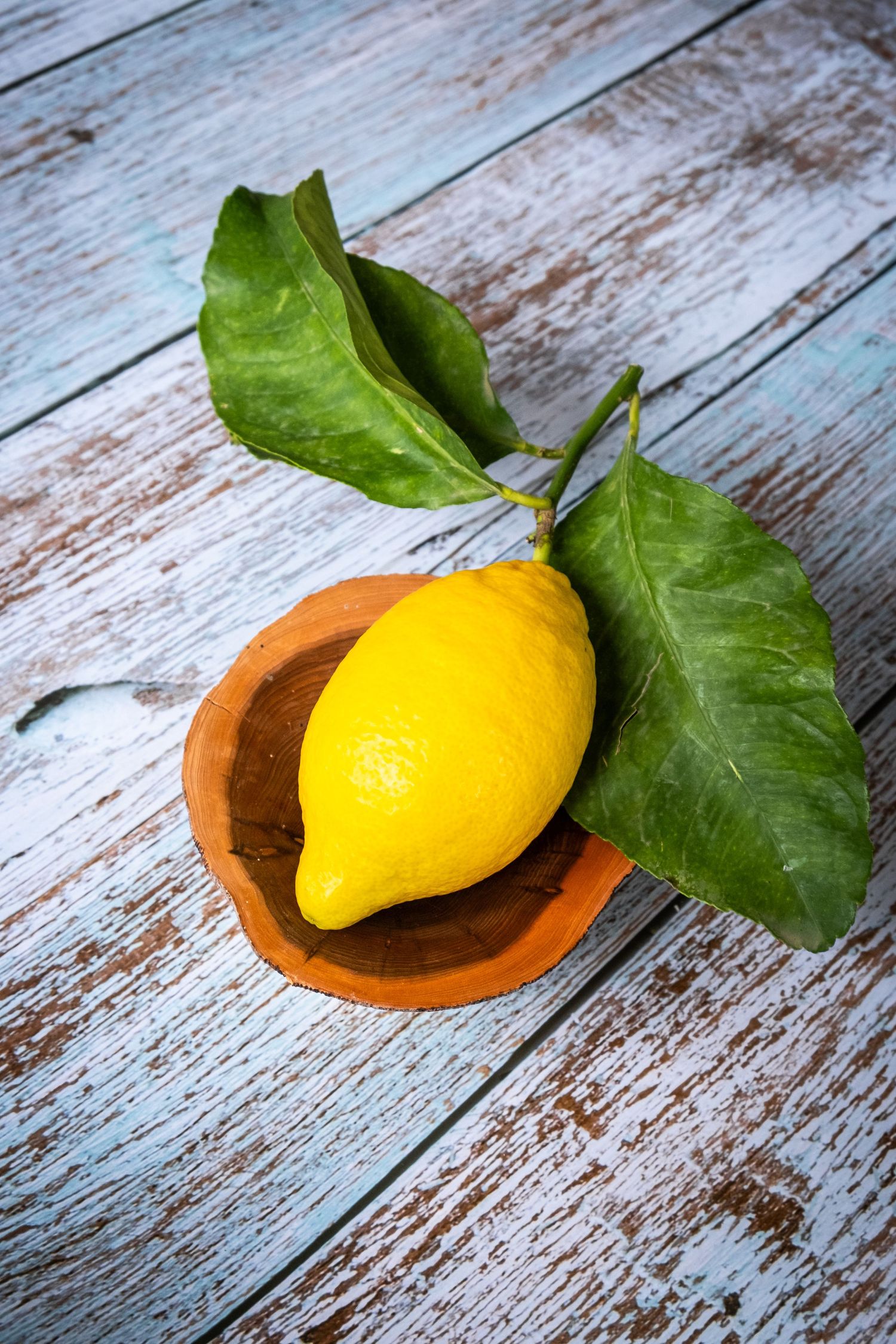 an Amalfi lemon with leaves