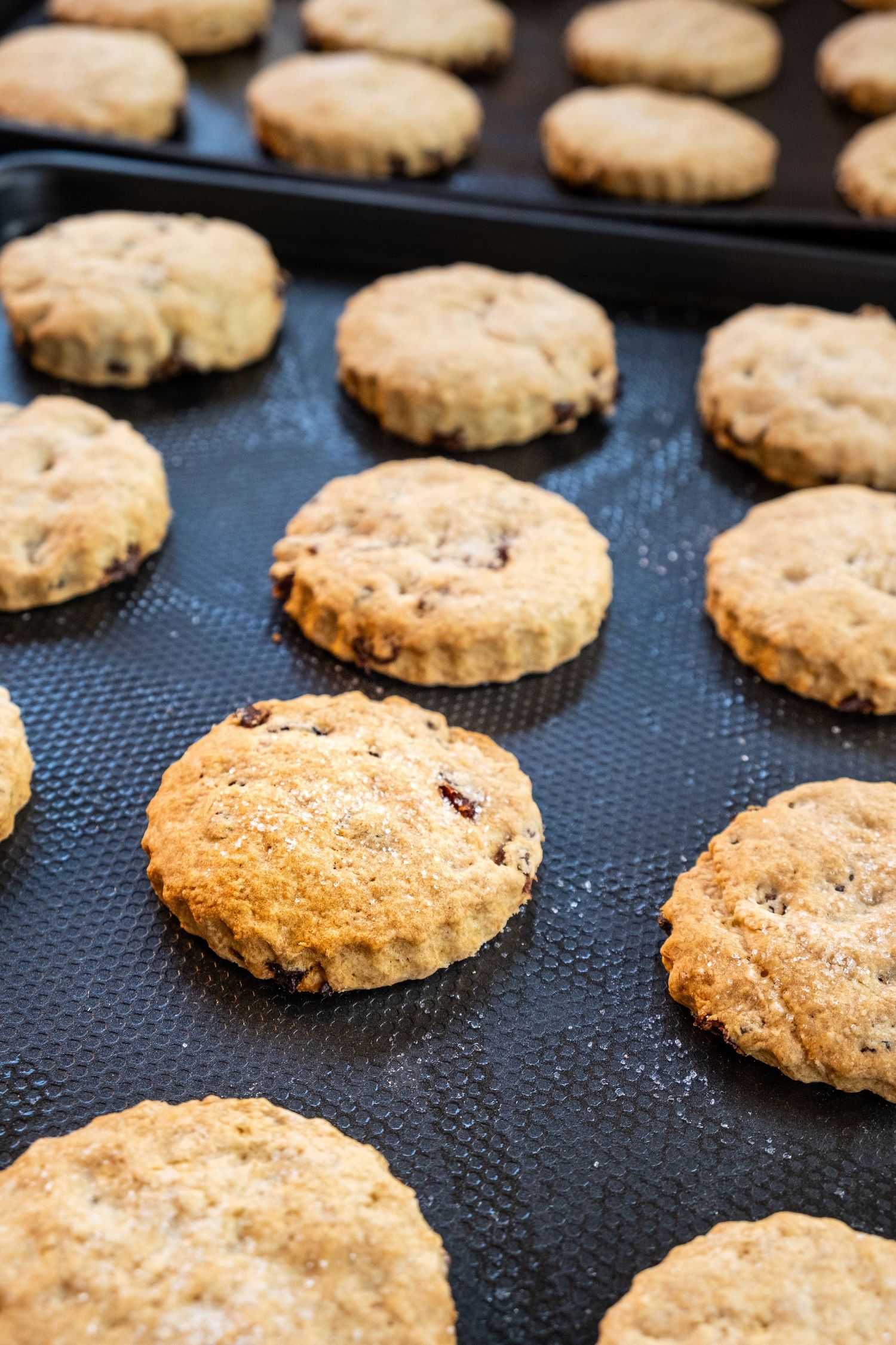 hoome baked scones on a baking sheet
