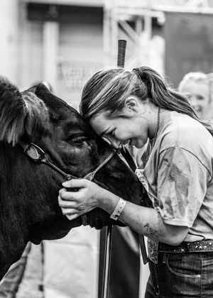 Black and white photo series shows tender moments between a calf and someone in overalls on a farm.